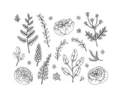 Set of floral design elements isolated on white background. Vector illustration in sketch style