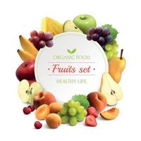 Ilustración de vector de fondo realista de marco de frutas
