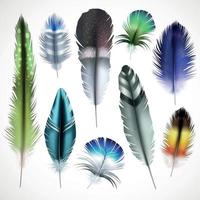 plumas conjunto realista ilustración vectorial vector