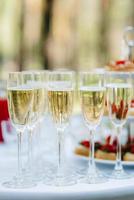 wedding glasses for wine and champagne photo