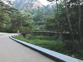 río de montaña y el puente de madera en el parque nacional de seoraksan foto