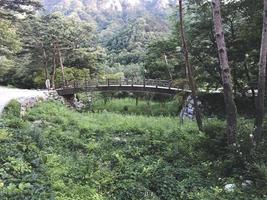 río de montaña y el puente de madera en el parque nacional de seoraksan foto