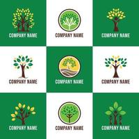 Logo Focused on Trees Growing in the Nature vector