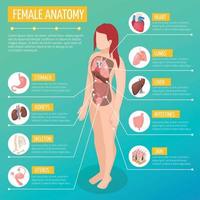 Female Anatomy Isometric Poster Vector Illustration