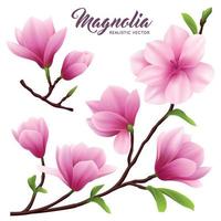 Realistic Magnolia Flower Icon Set Vector Illustration