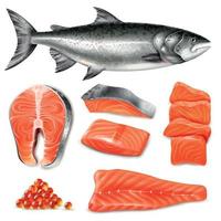 Realistic Salmon Set Vector Illustration