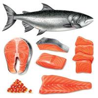 Realistic Salmon Set Vector Illustration