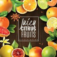 Citrus Fruit Background Vector Illustration