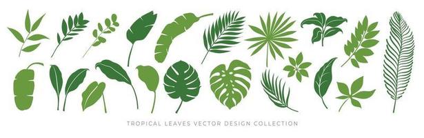 Tropical leaves vector set. Palm leaf, coconut leaf, banana leaves, monstera, fern, Botanical and Jungle leaves design for nature background, Eco and summer banner, wallpaper, pattern and prints.