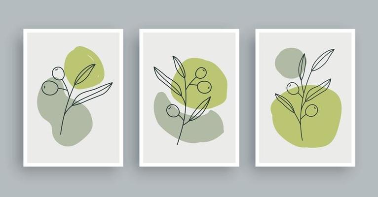 Olive Vector Art, Icons, and Graphics for Free Download