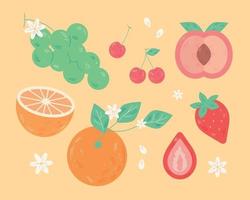 una colección de diferentes frutas. Ilustración de vector mínimo de estilo de diseño plano.