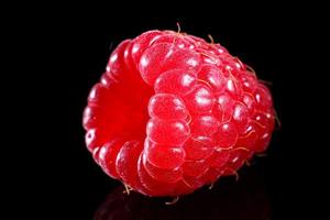 One red raspberry berry on a black background. photo
