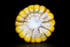 Chopped corn in profile on a black background. photo