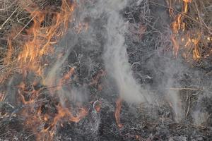 Gray smoke during a fire close-up. photo