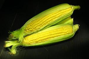 Ripe corn on a black background photo