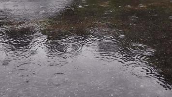 la lluvia cae en grandes charcos en las carreteras asfaltadas, inundando las carreteras. lluvia sobre el piso de concreto en la temporada de lluvias. video