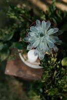 elegantes decoraciones de boda hechas de flores naturales foto