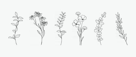 Flower Line Drawing Vector Art, Icons, and Graphics for Free Download