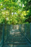 Walk way in the forest at Canopy walks at Queen Sirikit botanic garden Chiang Mai, Thailand photo