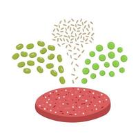 Ingredients of plant based meat. Mung beans, brown rice and pea pouring in meatless burger patty. Organic vegan food concept vector