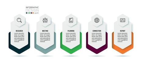 Business concept infographic template with option. vector