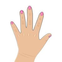 vector illustration. Flat hands. Fingers. Nails.