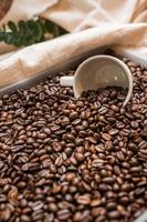 Mixture of different kinds of coffee beans. Coffee Background photo