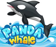 Orca or Killer Whale cartoon character with Panda Whale font banner isolated vector