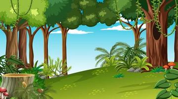 Forest at daytime scene with various forest plant and tree vector