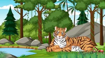 Un tigre en el bosque o la escena de la selva tropical con muchos árboles. vector