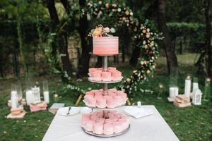 wedding cake at the wedding of the newlyweds photo