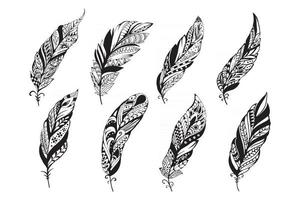 Set of peerless decorative feather illustration vector