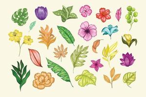 Beautiful vintage hand drawn floral vector collection