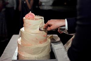 wedding cake at the wedding of the newlyweds photo