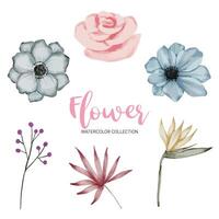 Beautiful bouquet of flowers in water colors style vector