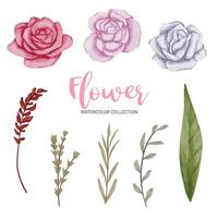 Beautiful bouquet of flowers in water colors style vector