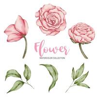 Hermoso ramo de flores en estilo acuarelas vector