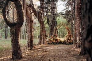 wedding ceremony area with dried flowers in a meadow photo