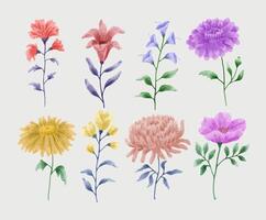 un conjunto de flores pintadas en acuarela para varias tarjetas y tarjetas de felicitación. vector