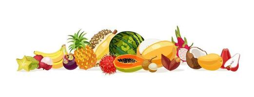 frutas tailandesas. fruta de tailandia. plátano, coco, melón, sandía, carambola, papaya, pomarrosa, durian, lichee, mango, mangostán, frutas del dragón, rambután, piña. ilustración vectorial vector
