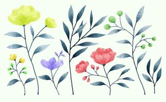 A set of flowers painted in watercolor for various cards and greeting cards. vector