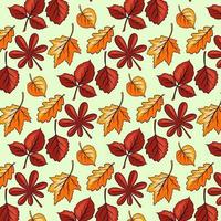 Autumn pattern. Autumn leaves big set. Abstract carved leaves. vector