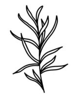 Ilustración de vector de hierba multifoliada
