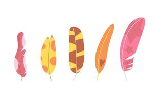 Set of hand drawn bright color feathers, modern and abstract. Flat illustration. vector