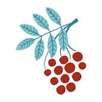 Hand drawn branch of Rowan. Modern flat illustration. vector