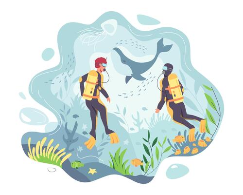 Scuba divers go on vacation and go watching whale in the sea.