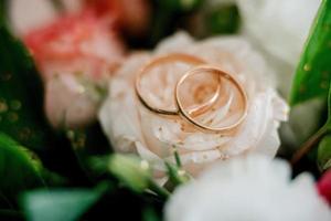 gold wedding rings as an attribute of a young couple's wedding