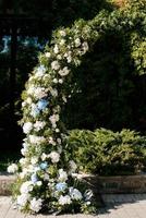 wedding ceremony in the woods among the trees on the green track photo