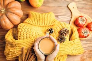 Hot cocoa in hands, pine cones and cinnamon sticks on knitted sweater.