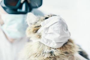 hombre en traje y gato en una máscara médica foto